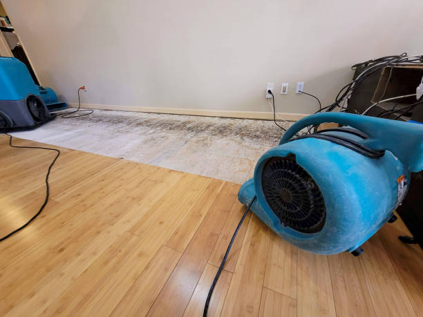 Professional Water Damage Repair technician working in Sheffield, OH